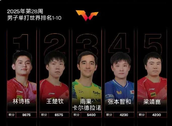 为林诗栋让路,王楚钦退出欧洲赛?落选原因曝光,谁注意好友表态